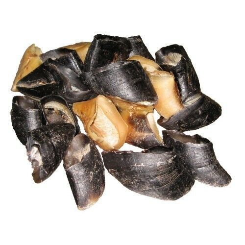 Cows Hooves