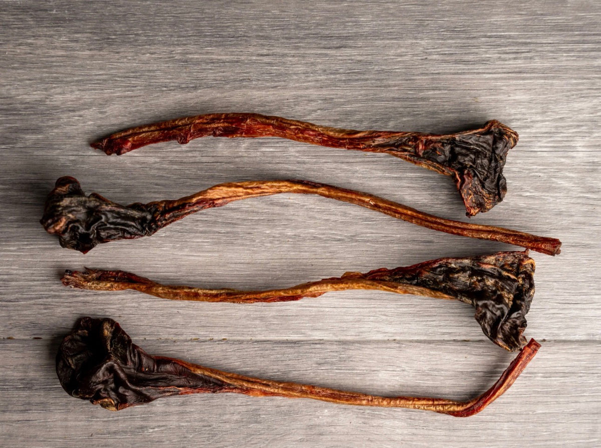 Kangaroo Tendons
