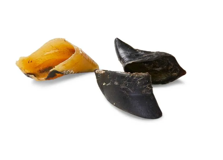Cows Hooves