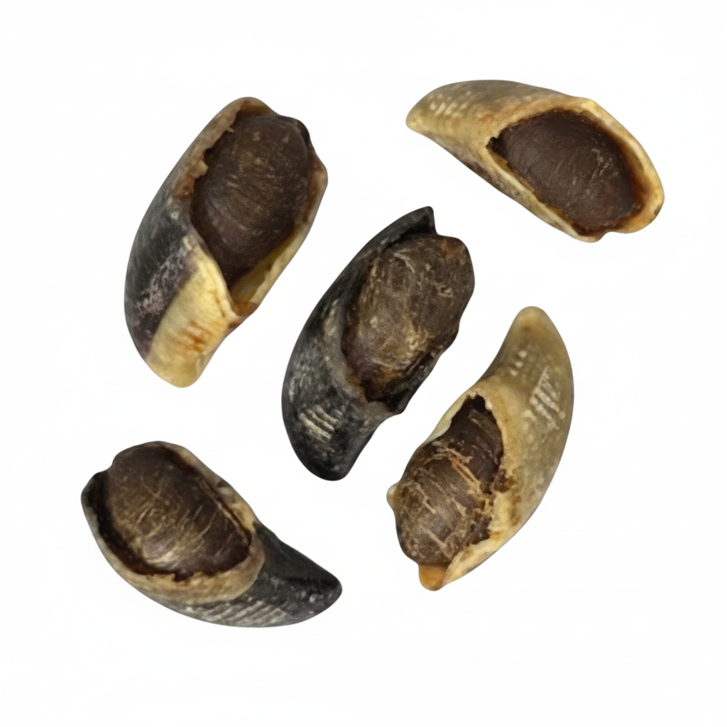 Duck Claws - Professional Product Image