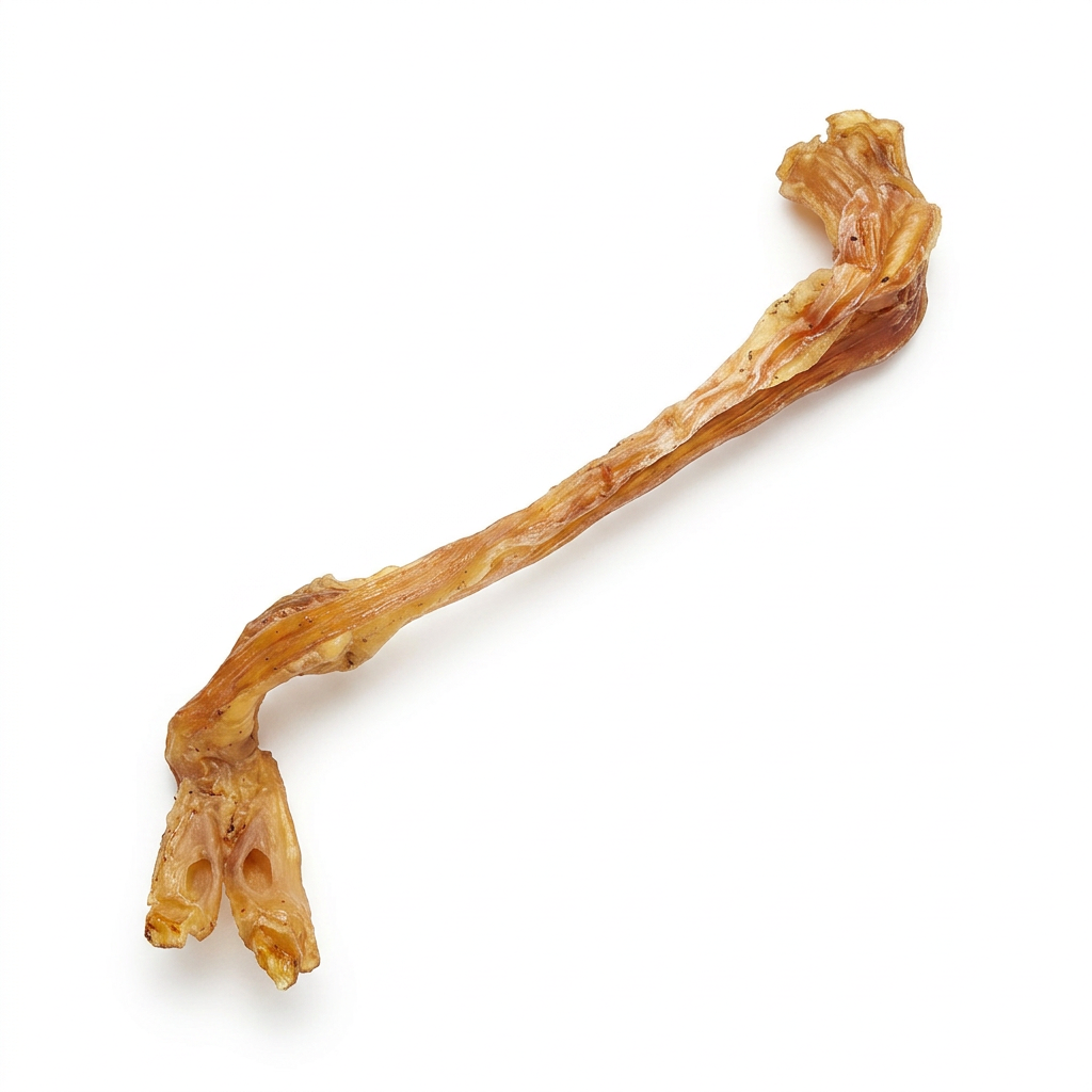 Single dried beef Achilles tendon on a pure white background